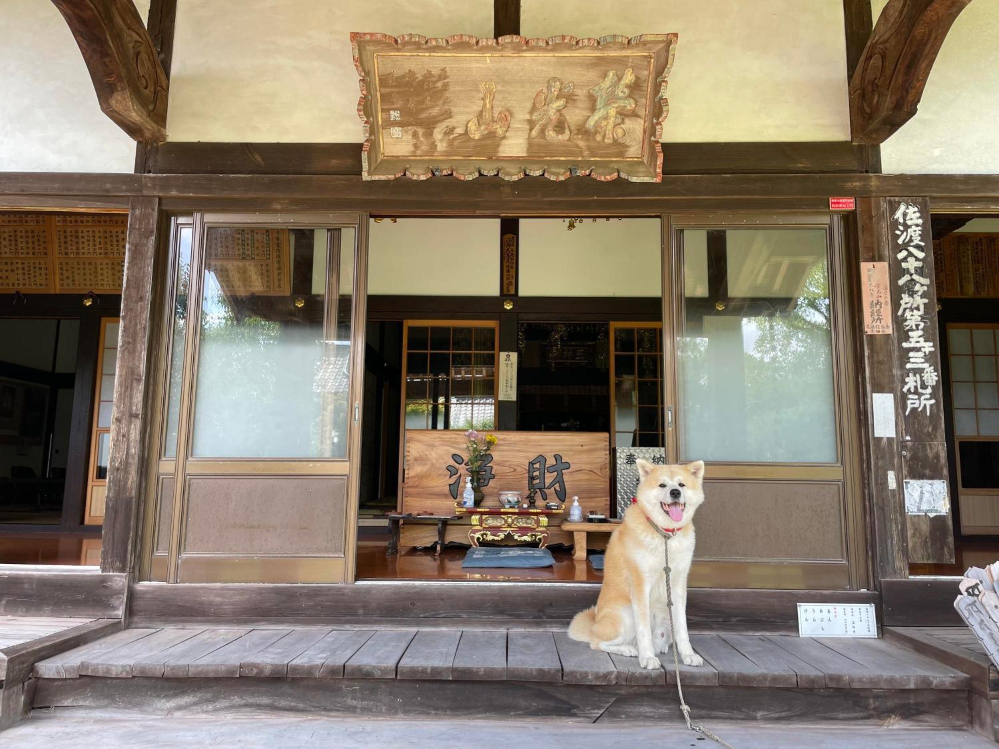 Temple Stay 玉林寺 Sado Luaran gambar